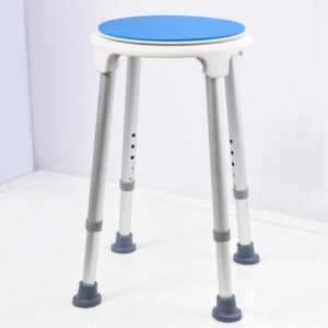 Shower stool with swivel seat