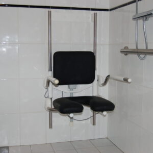 Vertical shower lift